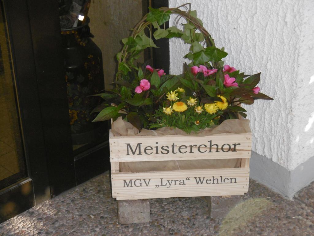 Haus Hochwaldhoehe 모르바흐 외부 사진